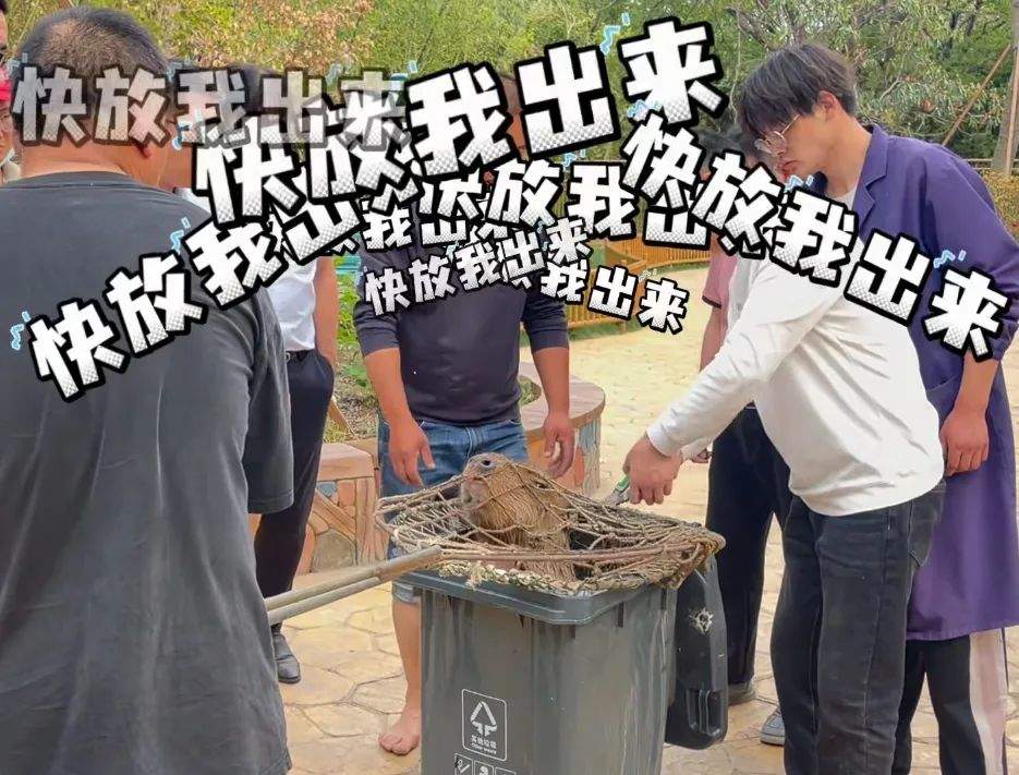 悬赏奖励升级！“越狱”卡皮巴拉的位置已初步锁定