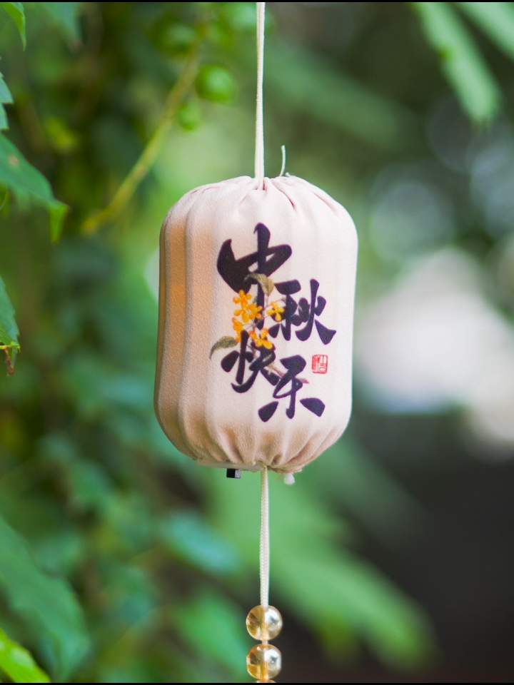 微视频｜月满中秋 情润山河