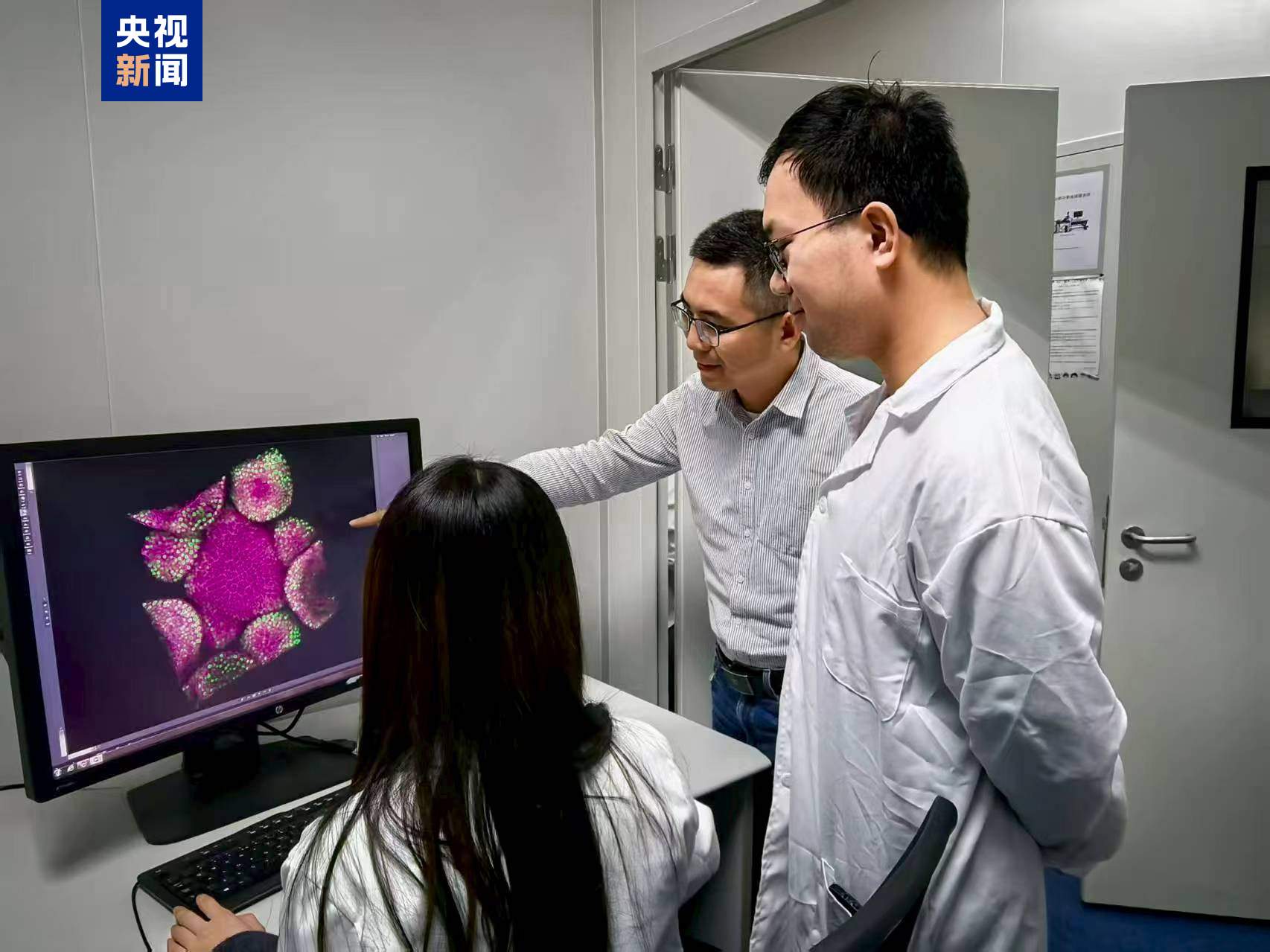 科研新突破!中国科学家破解植物再生密码