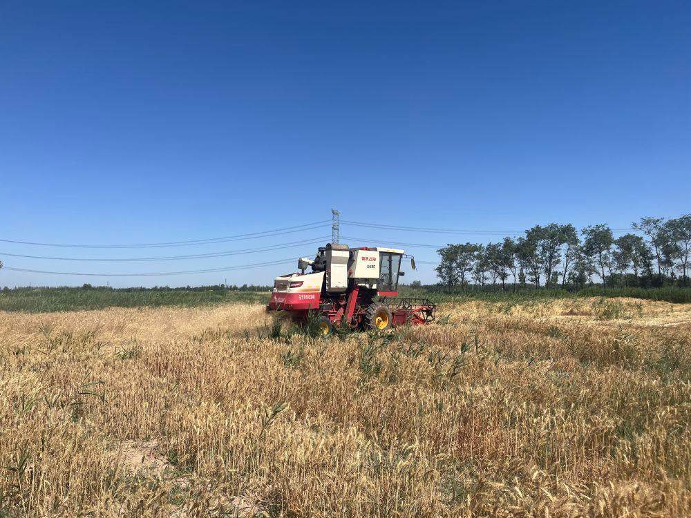 时政微观察丨牢牢守住耕地保护红线，总书记念兹在兹