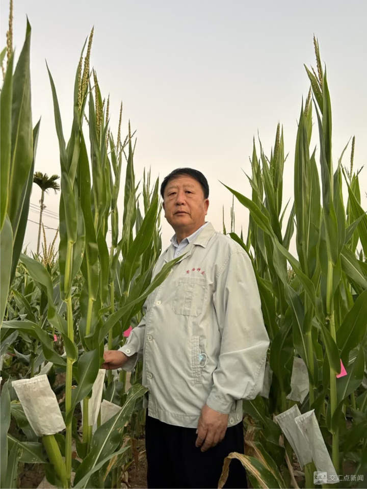 经济大省挑大梁·高手在“民”间|五谷丰登,诠释何以“新鲁商”