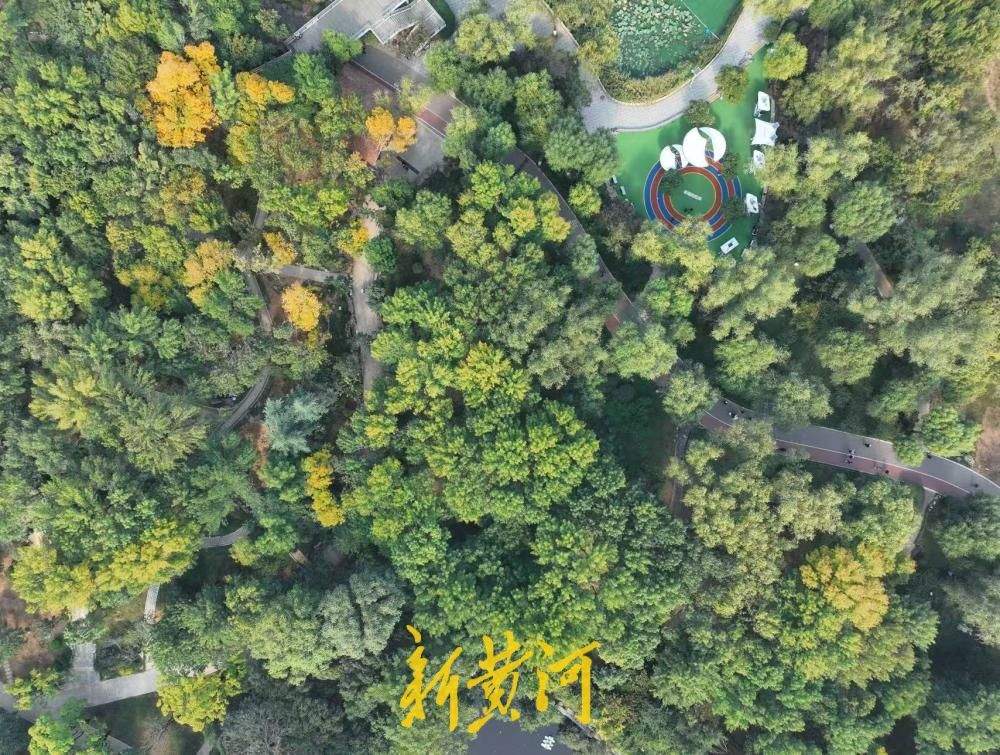一年四季 泉在济南丨满园秋韵入眼帘，泉城公园赏斑斓林色