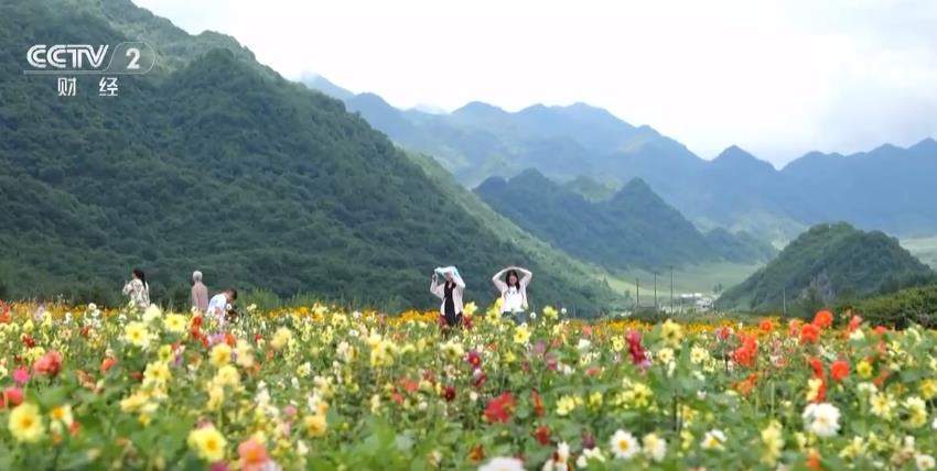 避暑游持续升温 “清凉经济”激发夏日文旅消费新动能