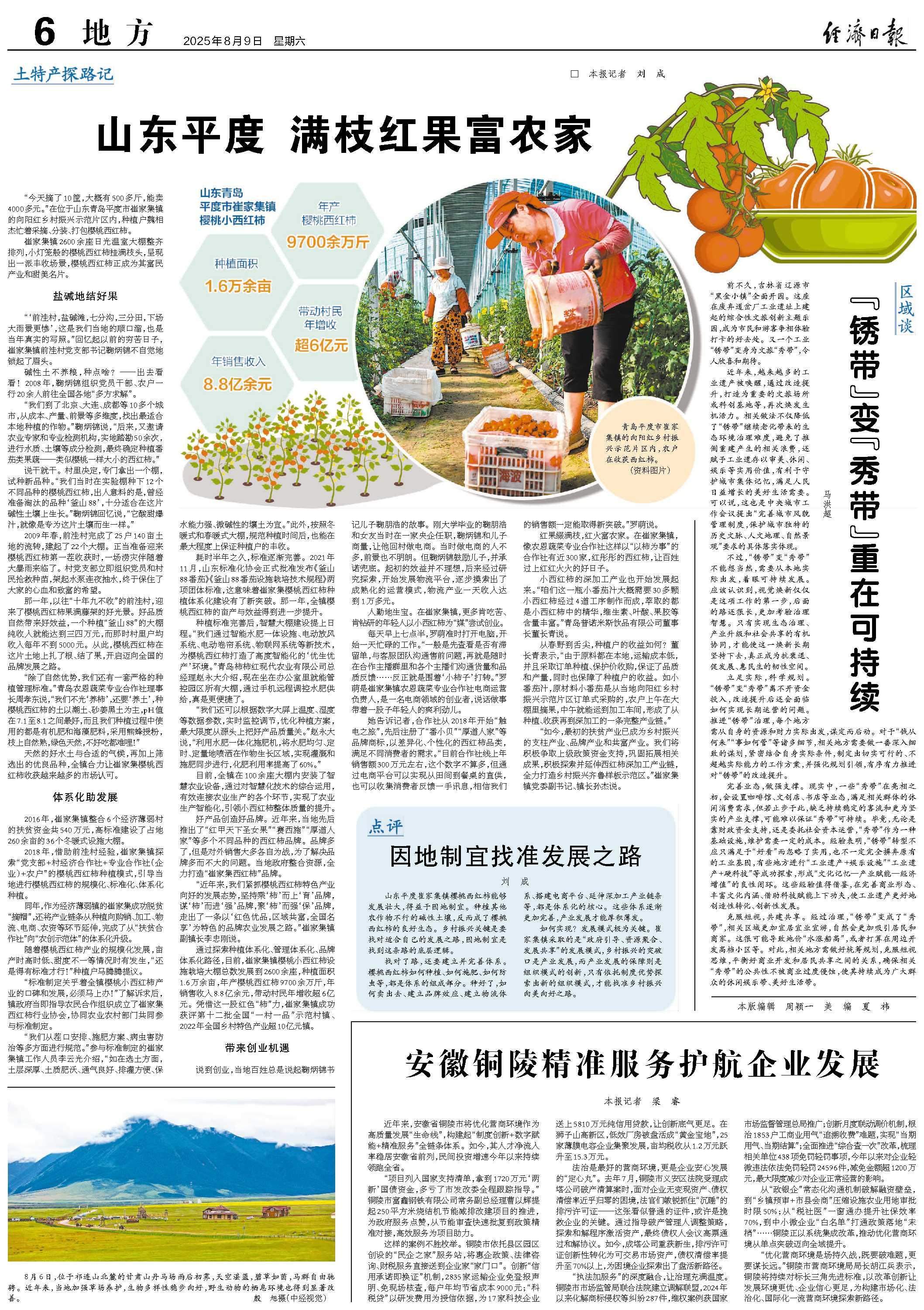 山东平度 满枝红果富农家