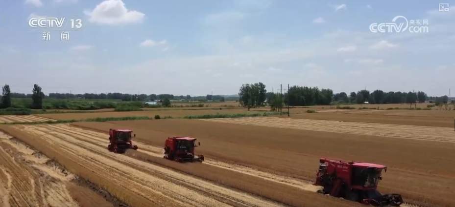 “九成熟，十成收；十成熟，一成丢” 