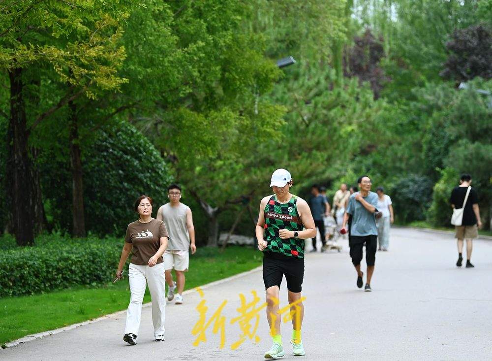 雨后漫步森林公园树荫小道 感受初秋的清凉