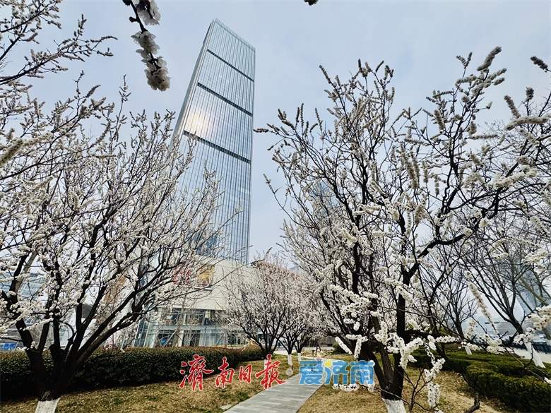 趵眼丨一方水土养一方“未来产业”