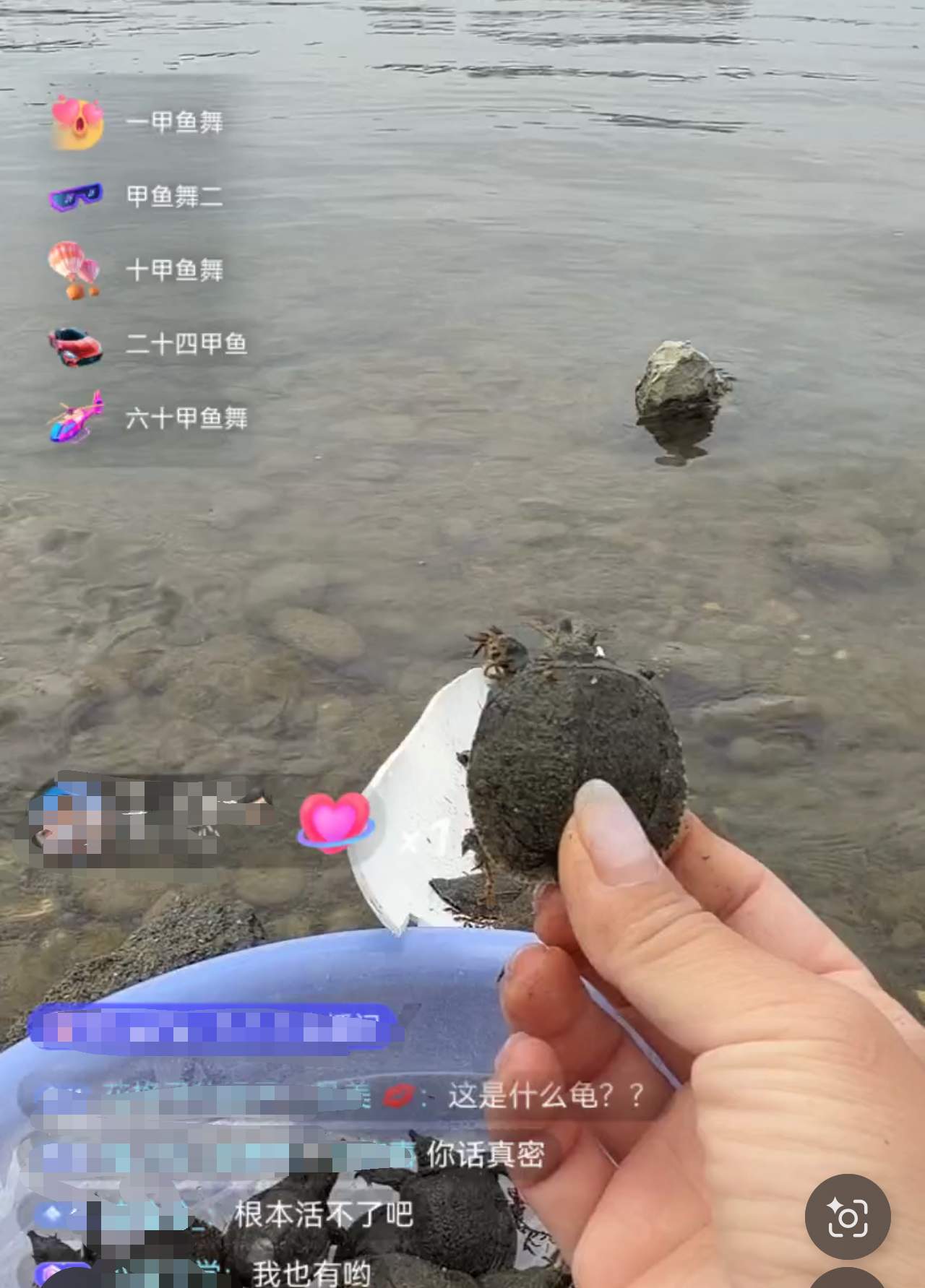 “功德”被明码标价 揭开直播间“打赏放生”的生态隐患