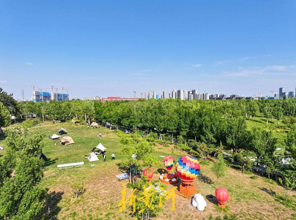 城市里的治愈系！“五一”假期来中央森林公园露营吧