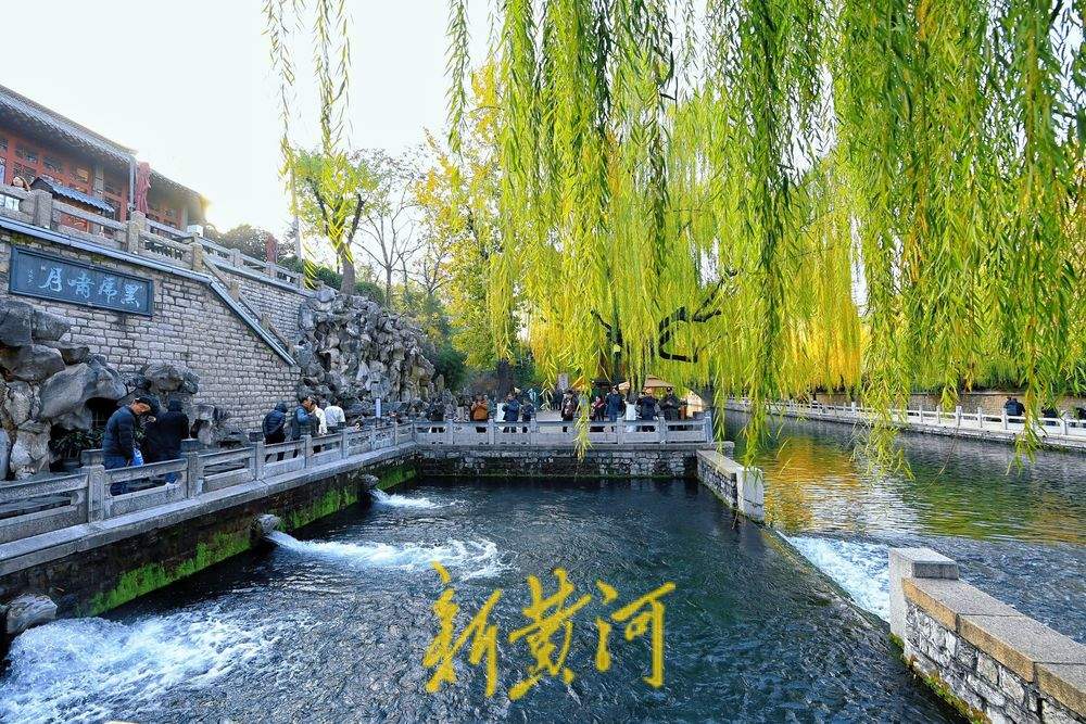 济南黑虎泉初冬“撒欢儿” 水位比去年同期高1.62米