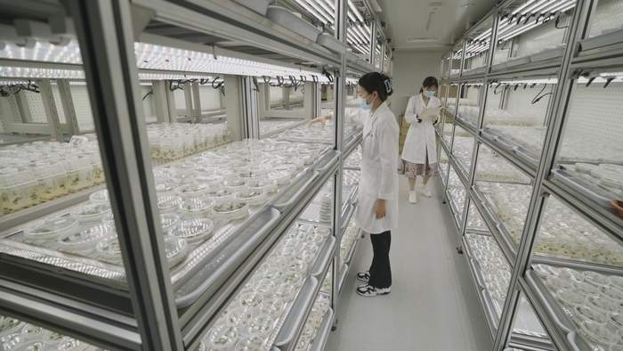 从 “育好种” 到 “强产业”：济南绘就北方种业之都高质量发展新图景