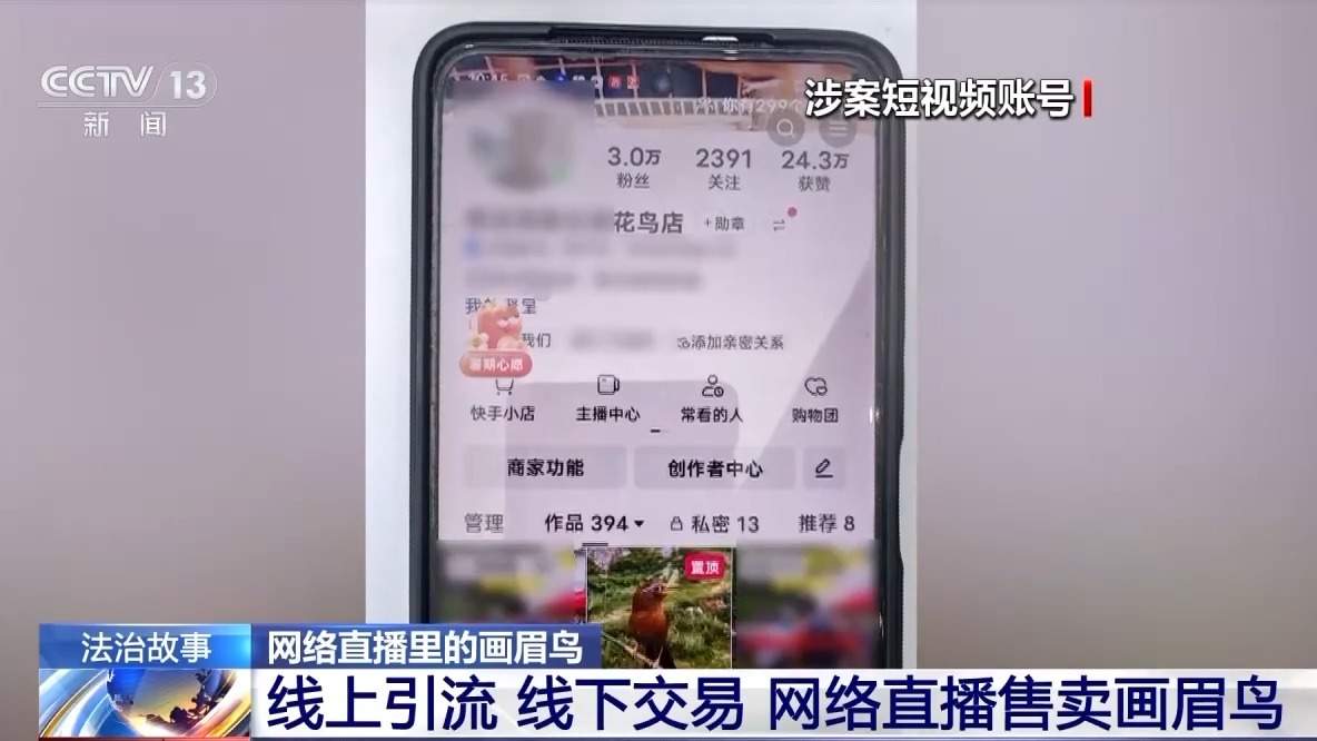深夜直播竟暗藏非法交易 男子售卖画眉鸟被刑拘
