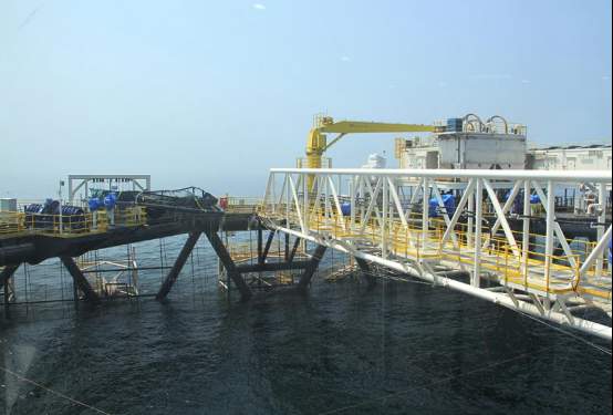 入选第九批国家级海洋牧场，山东这5个有何过人之处？