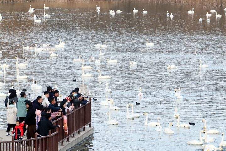 江山壮阔万象新——习近平总书记引领中国式现代化新征程