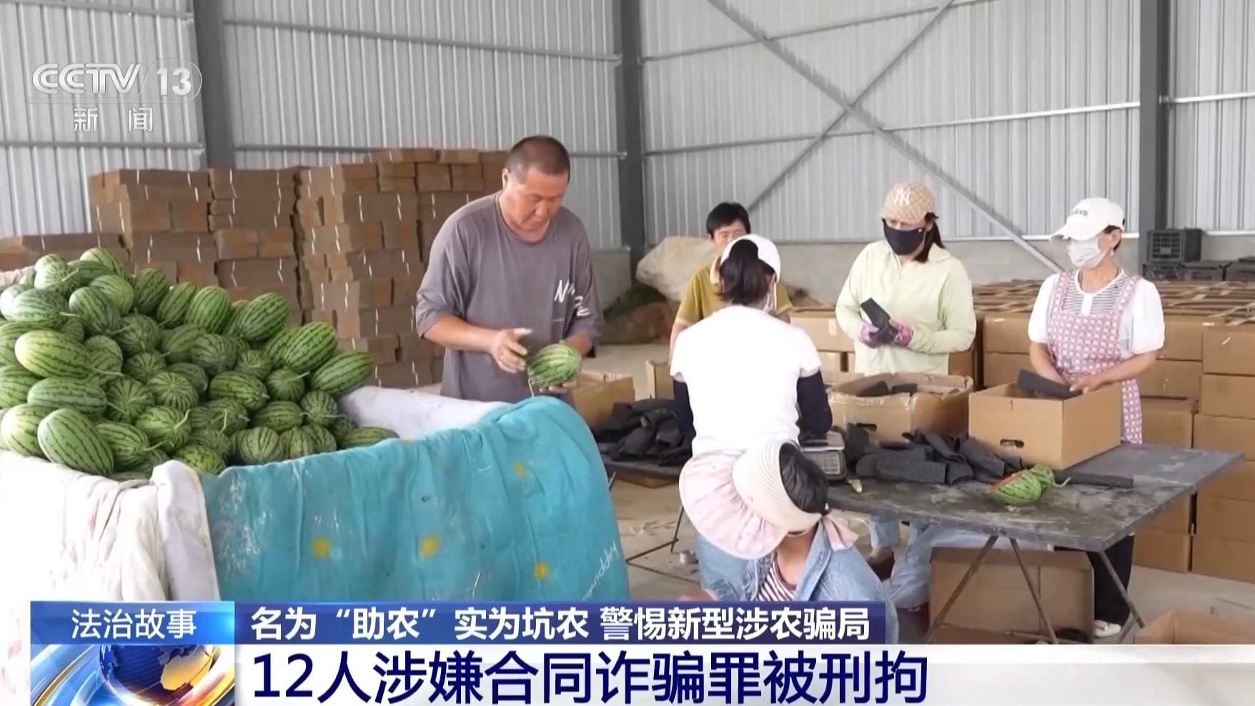 打着“助农”旗号设局 警方破获新型涉农诈骗案