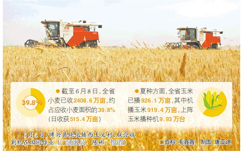 山东将“节粮减损”融入机收、晾晒、运输、仓储、加工全链条 “无形田”里有大账