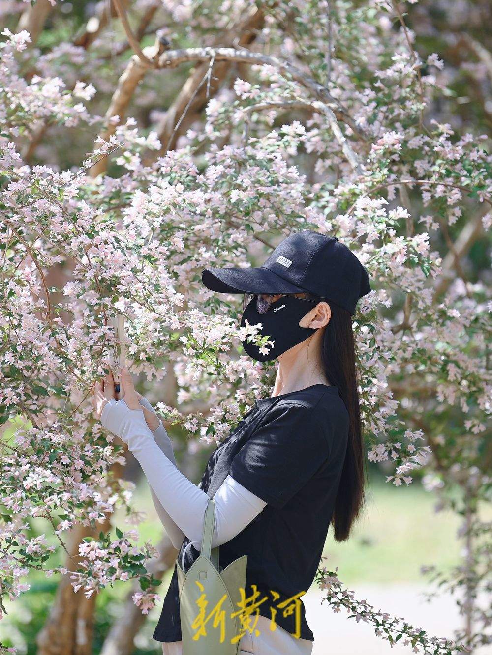 一年四季 泉在济南｜泉城猬实花开引客来