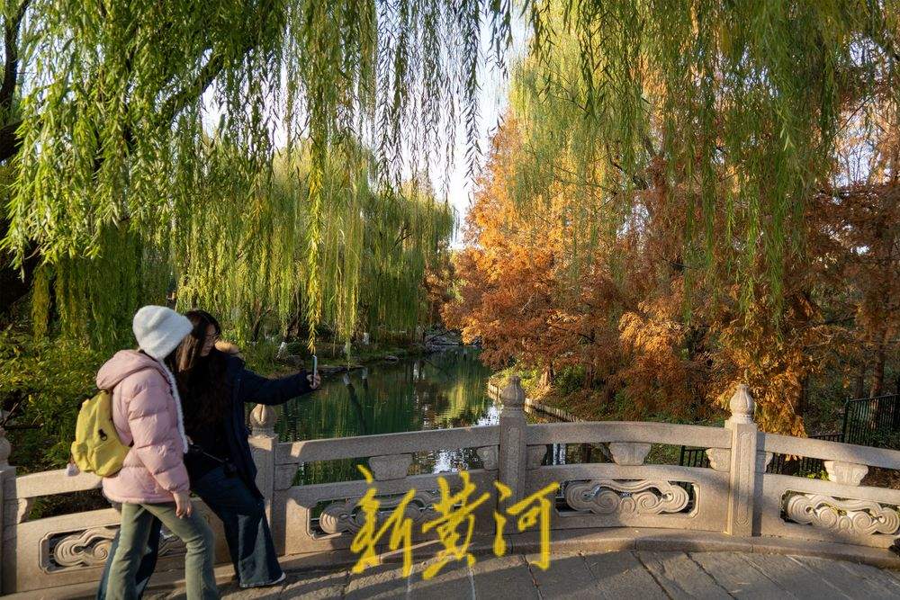 杉红柳绿！无人机视角解锁大明湖诗意冬妆