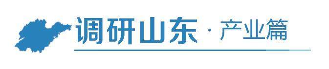 “链”上山东