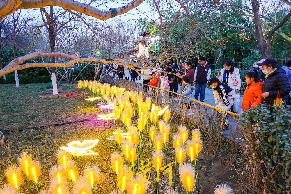 火树银花映名泉 济南灯会流光溢彩醉游人