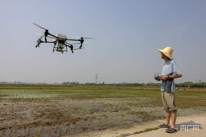 【牢记嘱托·看见美好中国】藏粮于技 智慧护航“天府粮仓”