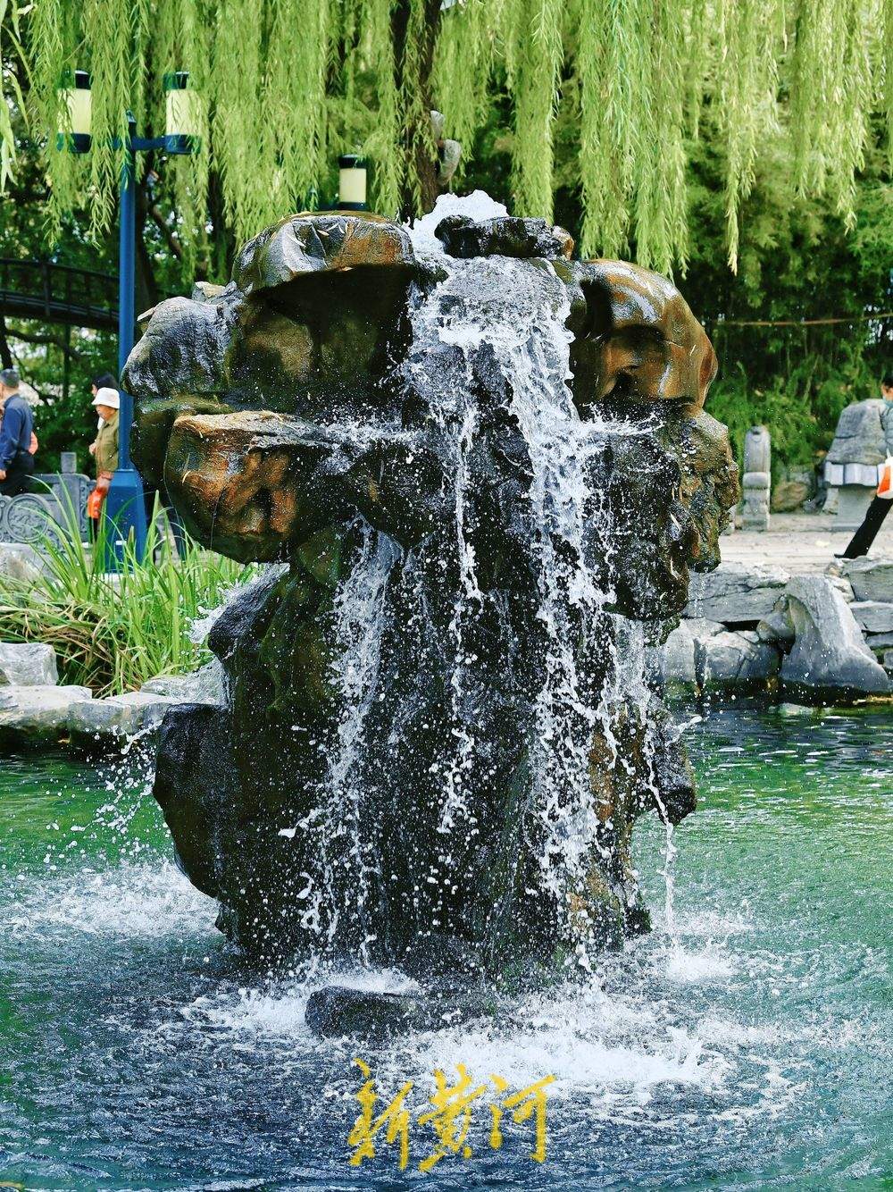 秋冬之交，泉水欢腾，泉城晚秋迷人眼