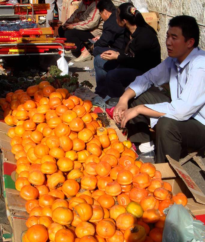 悠然南山秋意浓