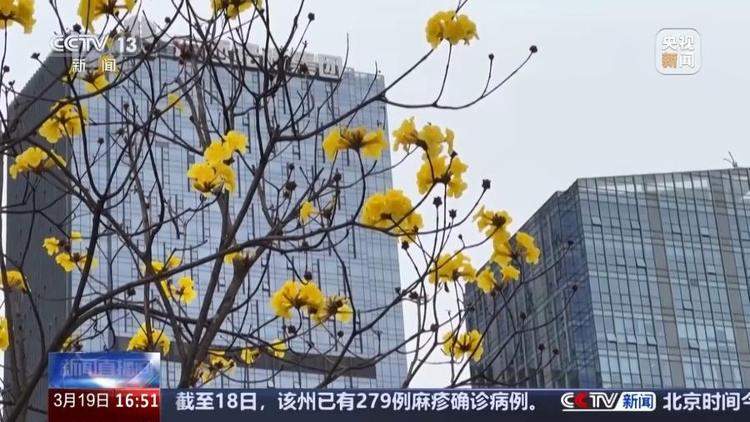 “一把鼻涕一把泪” 花粉过敏可以根治吗?预防指南