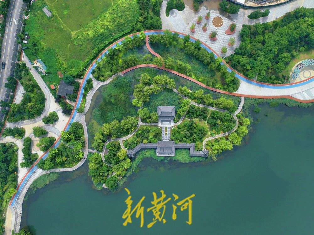 一年四季 泉在济南丨泉城雨后，云锦湖公园焕然一新