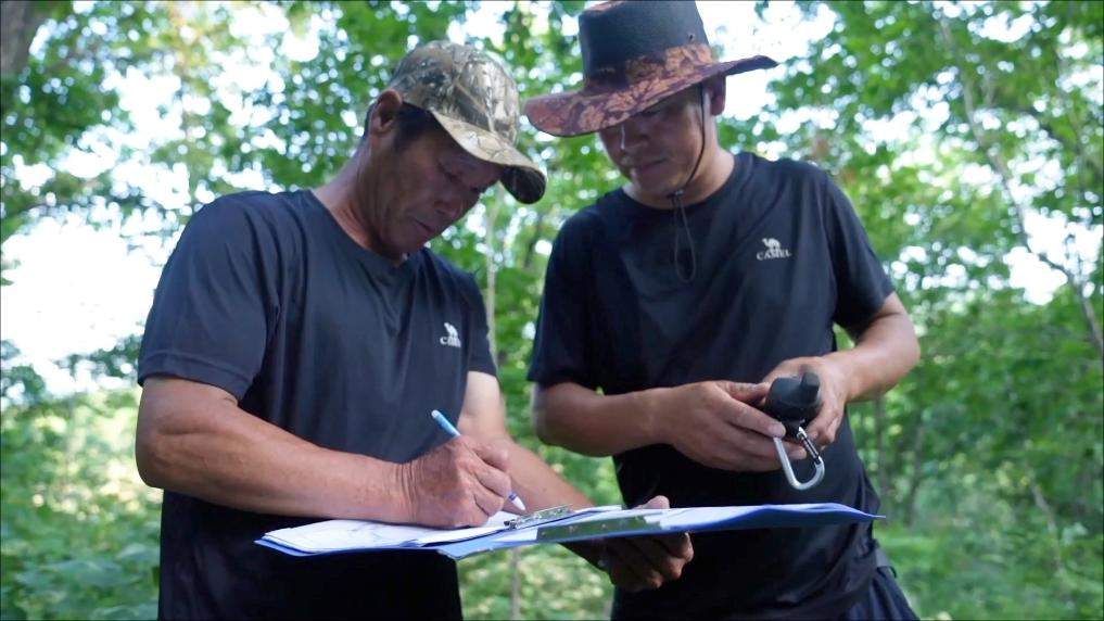 新华视点｜守护绿水青山 多元实践共筑生态环保新图景