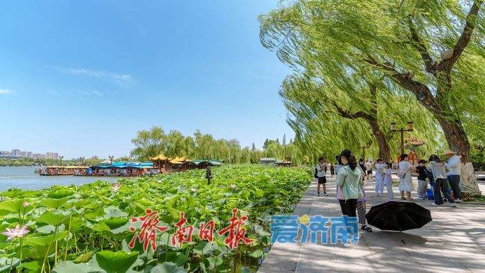 30天高温高湿挑战！济南周日迎近十年最短“三伏天”