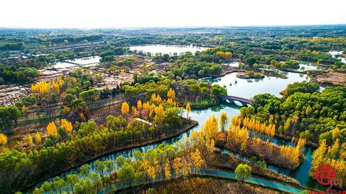 2023年,槐荫全区上下一心,一路奋勇争先,攻坚克难,在多个领域实现了新