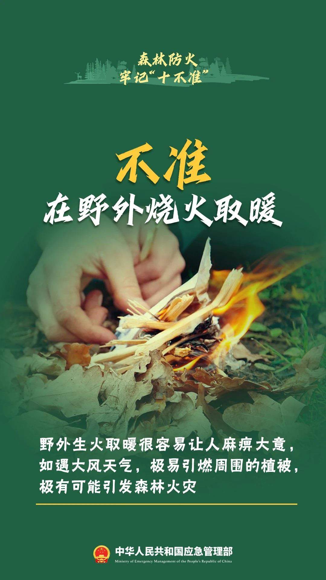 违规野外用火危害大森林防火十不准一定要牢记