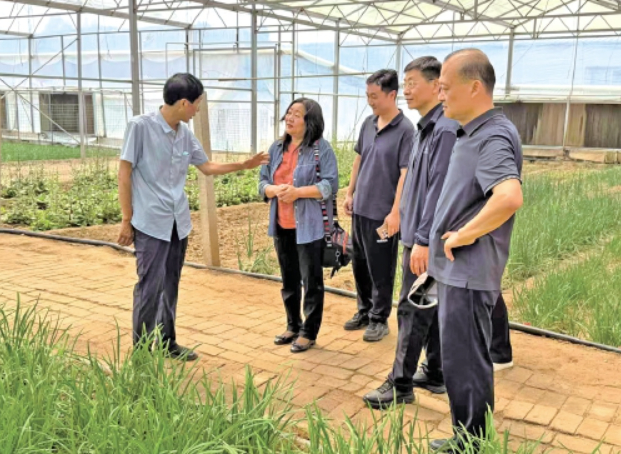 “谁不说俺家乡好”采风活动见证济南乡村蝶变