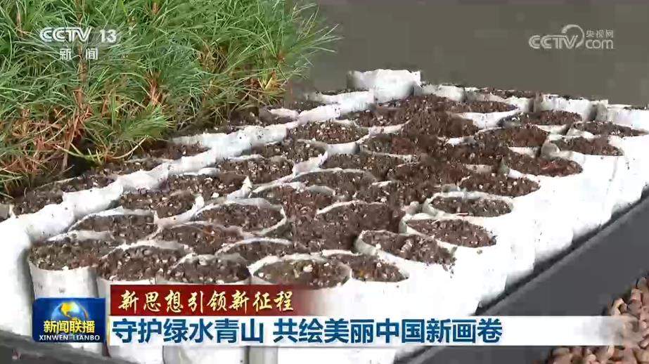 【新思想引领新征程】守护绿水青山 共绘美丽中国新画卷