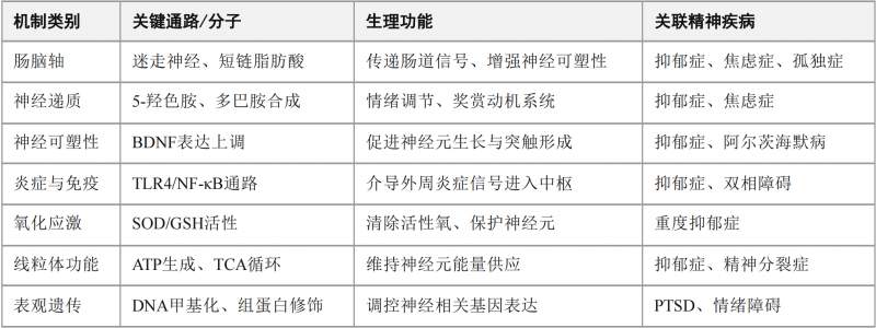 2026心理健康与医学营养食品白皮书发布：以制药标准打造循证营养新范式