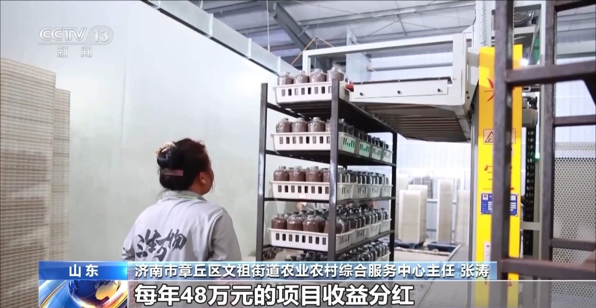 年中经济观察丨片区化推进乡村振兴 从“一时美”迈向“持久兴”