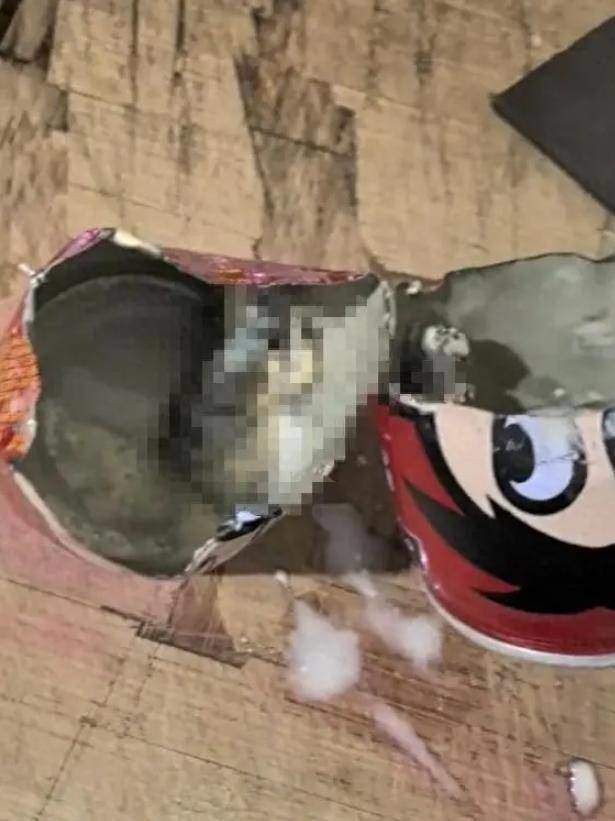 旺仔牛奶喝出老鼠？旺旺集团声明