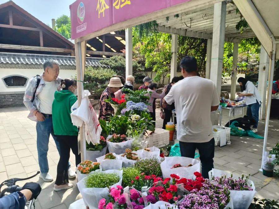 济南公园假期接待游客82.67万人次