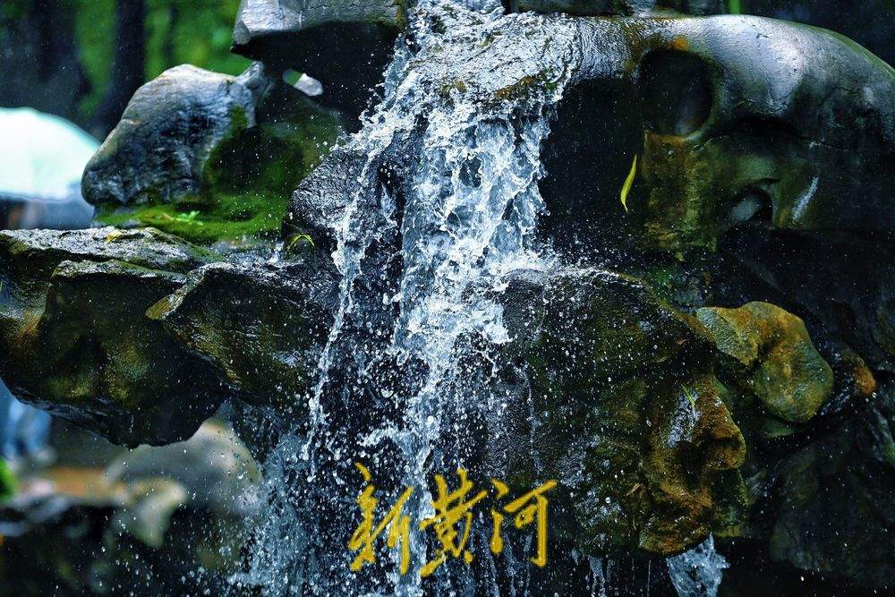 趵突泉水位再创新高、“月牙飞瀑”火出圈，游客雨中感受泉水魅力