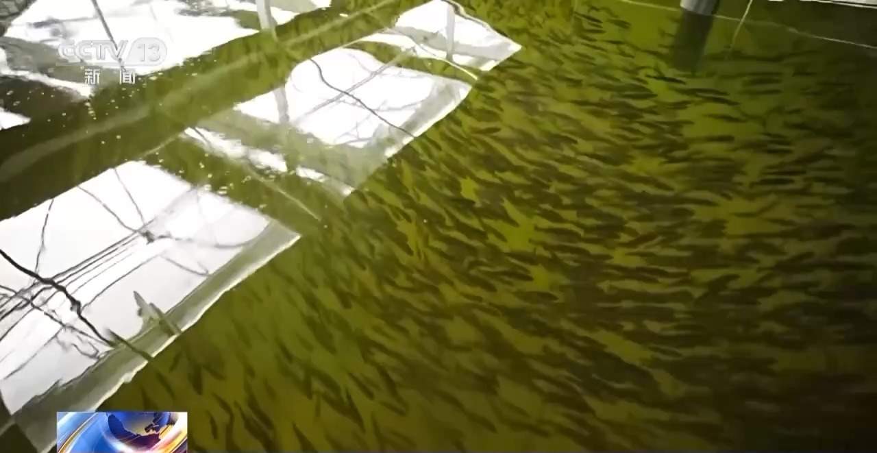 我国现代农业产业园总产值超3万亿元