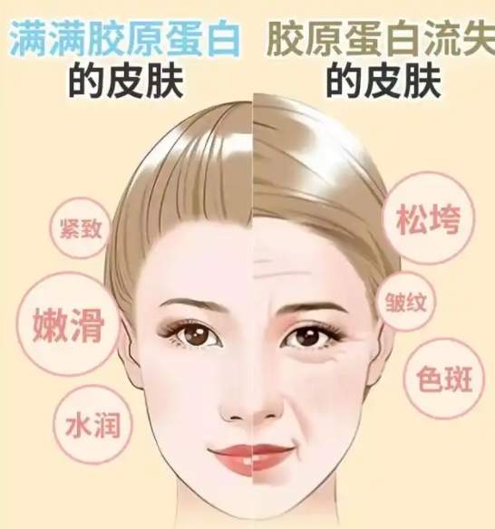 胶原蛋白肽评测大起底,胶原蛋白肽哪个牌子好?