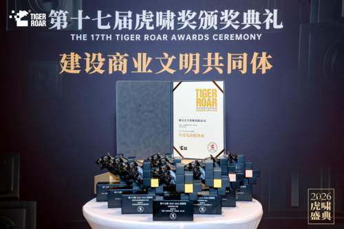 3金+年度大奖！淘宝天下在第十七届虎啸奖交出亮眼答卷