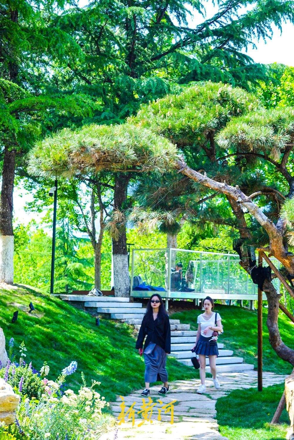 济南奥体中心景观提升，“大草坪”变身“微景区”