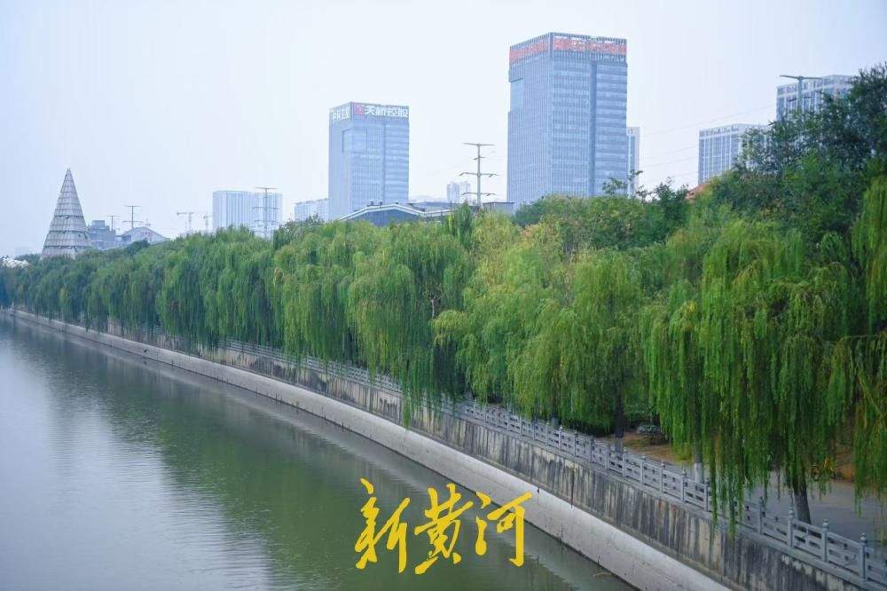 秋雨薄雾笼罩，济南小清河美成水墨诗画