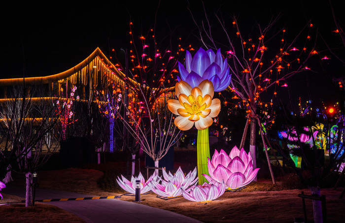 济南赏花灯有了新去处！起步区“大河华章·光耀鹊华”新春灯会等您看
