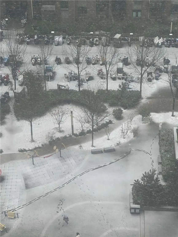 下雪了!济南“大雪花”刷屏