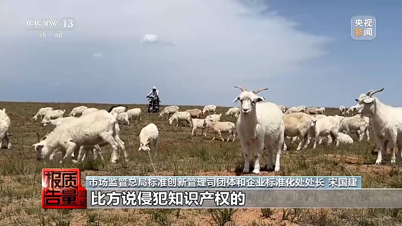 “绵羊绒”竟一根羊绒都没有 个别团体自创概念误导消费者