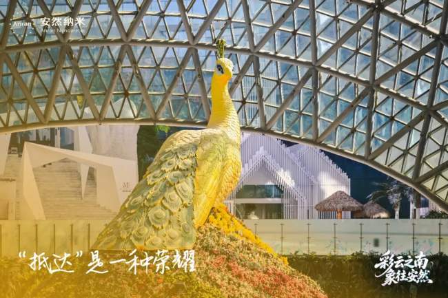 七彩云南见证!安然七彩生活,让奋斗者的荣光绽放七彩光芒