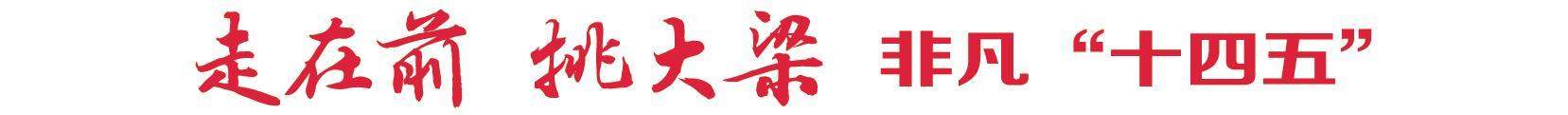 思想之光照亮奋进之路——写在山东回顾“十四五”、展望“十五五”之际